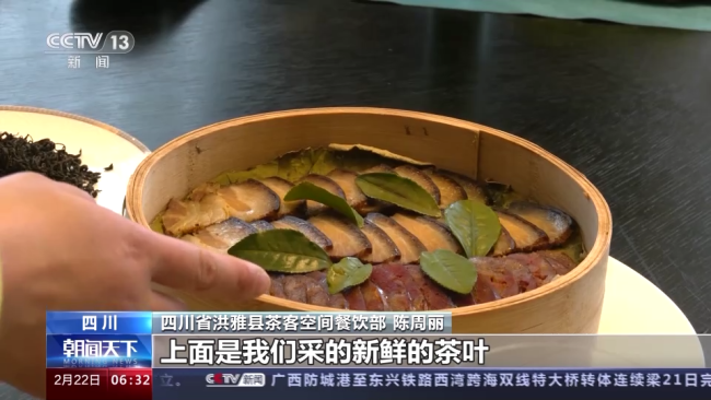 今年春茶全(quán)面開采 開采期較(jiào)去年提前