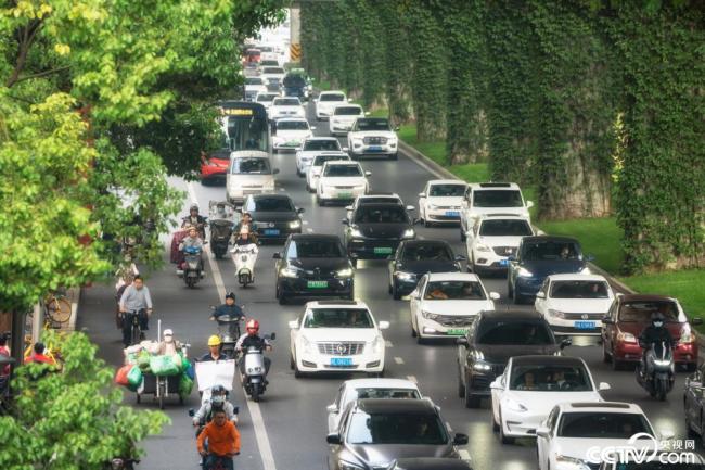 2025年12月(yue)13日，成都，高(gāo)架橋下爬(pa)滿碧綠的(de)爬山虎。視(shì)覺中國