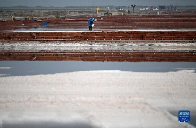 天津(jīn)：千年鹽場迎豐(fēng)收