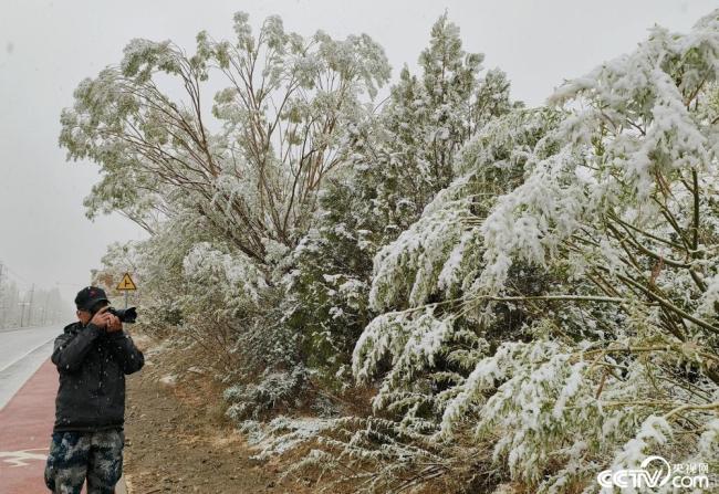 甘(gan)肅酒泉(quan)：立夏飛(fei)雪