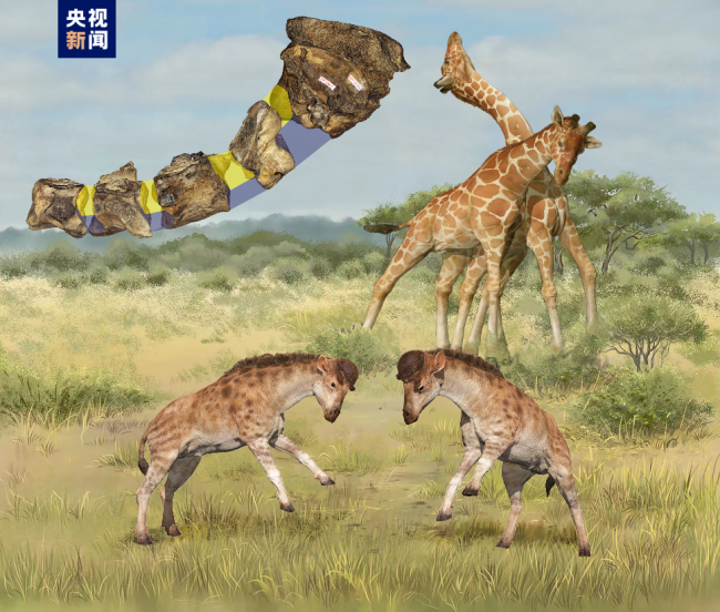 2022年度中(zhōng)國古生(shēng)物學十(shí)大進展(zhan)發布