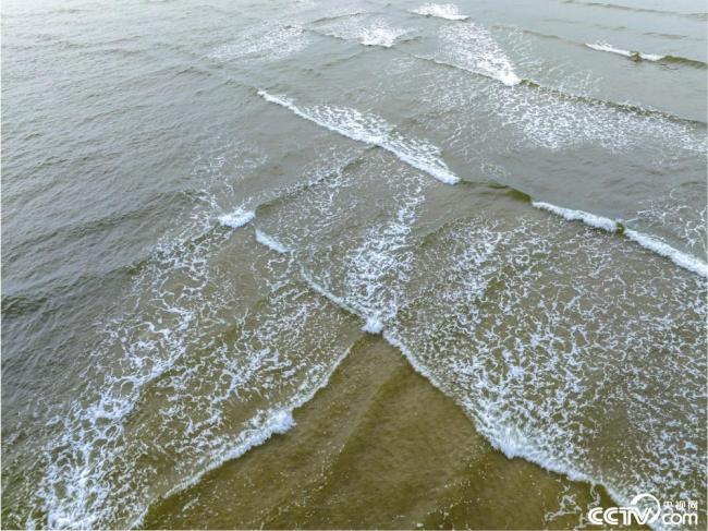 廣東(dong)茂名：海(hai)灘現交(jiao)叉潮景(jing)觀