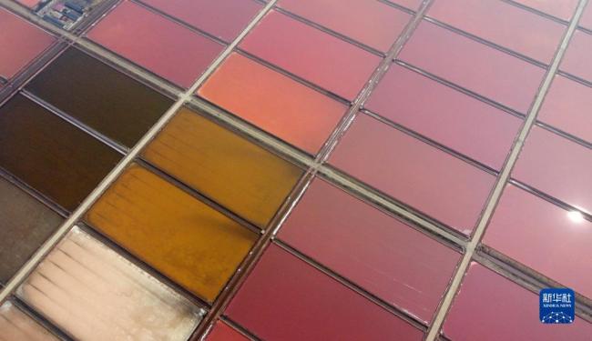 天津：千年鹽場(chang)迎豐收