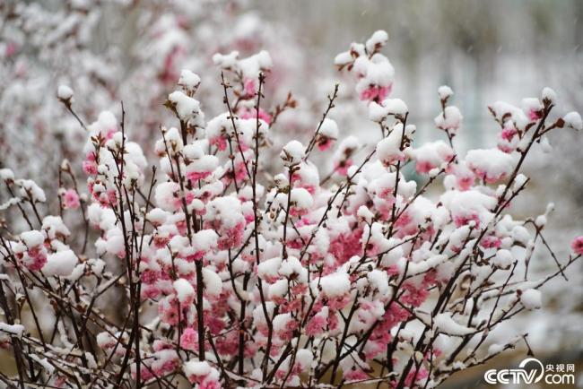 甘(gān)肅酒泉(quán)：立夏飛(fēi)雪