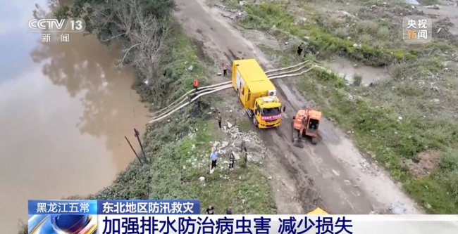 五常大米受(shòu)災，影響如何？幾(jǐ)組數據講清→